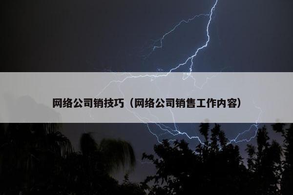 网络公司销技巧（网络公司销售工作内容）