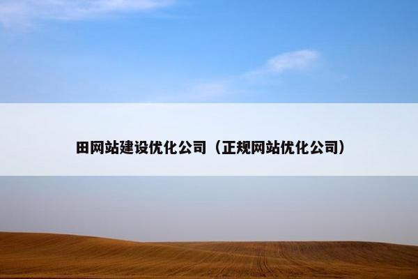 田网站建设优化公司（正规网站优化公司）