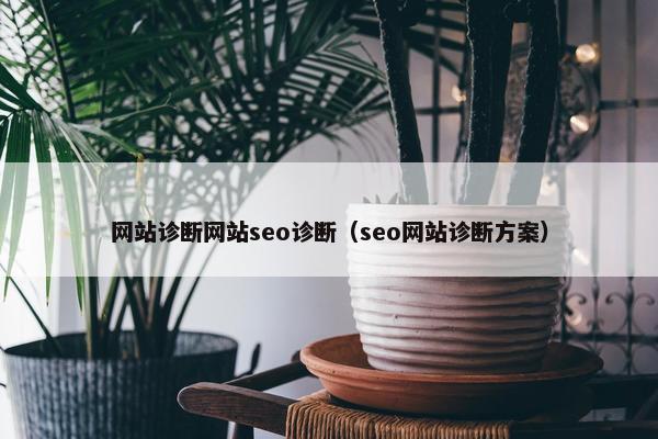 网站诊断网站seo诊断（seo网站诊断方案）