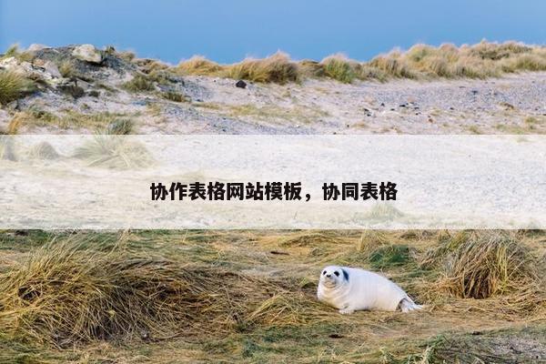 协作表格网站模板，协同表格
