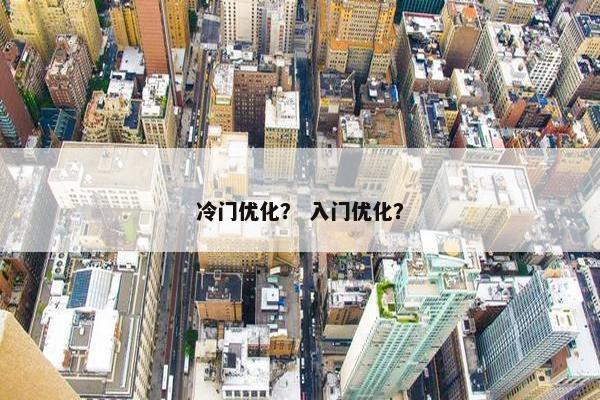 冷门优化？ 入门优化？