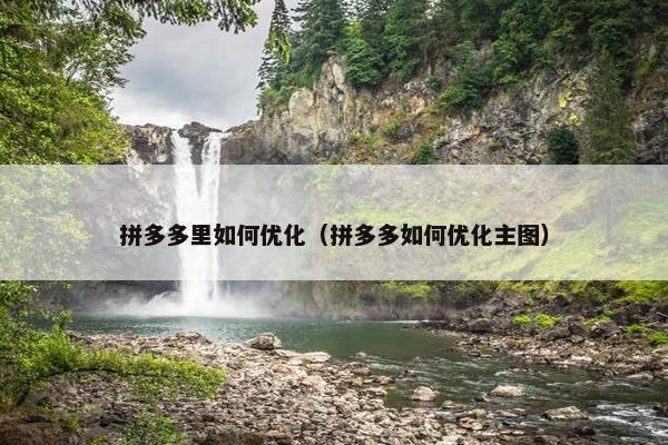 拼多多里如何优化（拼多多如何优化主图）
