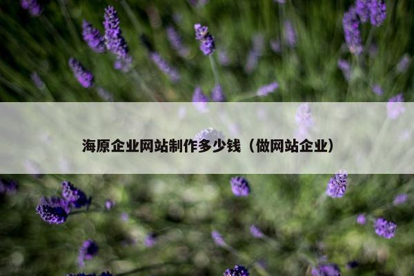 海原企业网站制作多少钱（做网站企业）