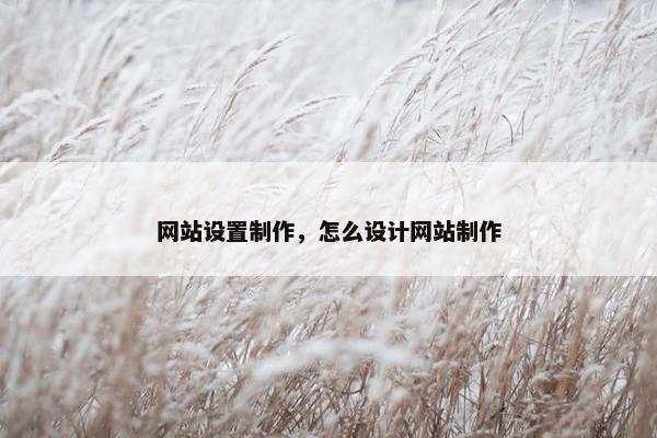 网站设置制作，怎么设计网站制作
