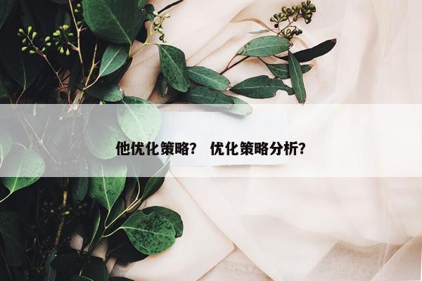 他优化策略？ 优化策略分析？