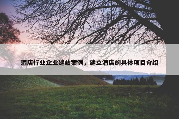 酒店行业企业建站案例，建立酒店的具体项目介绍