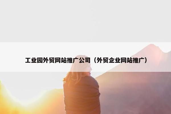 工业园外贸网站推广公司（外贸企业网站推广）