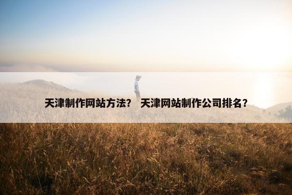 天津制作网站方法？ 天津网站制作公司排名？