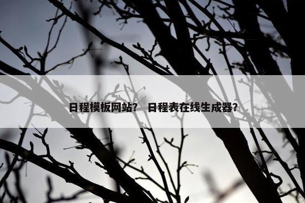 日程模板网站？ 日程表在线生成器？