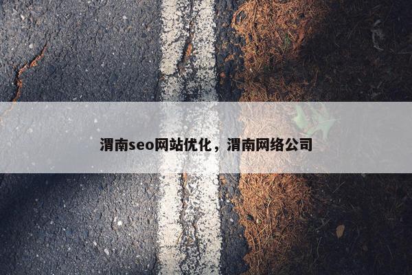 渭南seo网站优化，渭南网络公司
