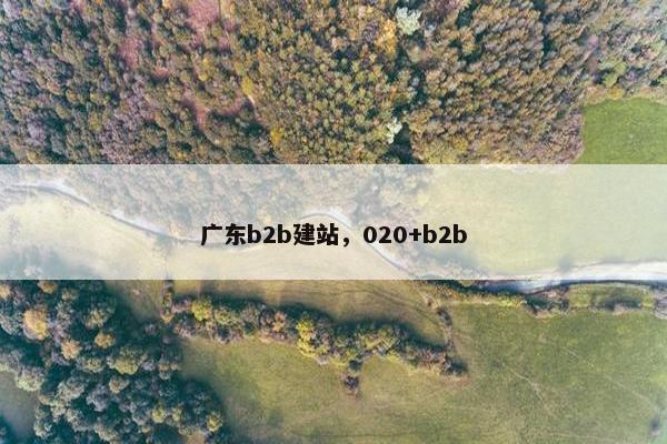 广东b2b建站，020+b2b
