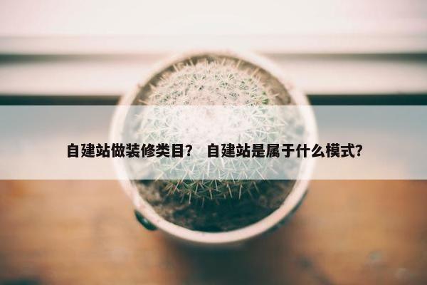 自建站做装修类目？ 自建站是属于什么模式？