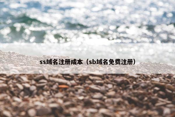 ss域名注册成本（sb域名免费注册）