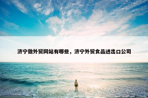 济宁做外贸网站有哪些，济宁外贸食品进出口公司