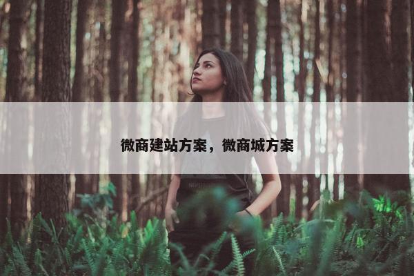 微商建站方案，微商城方案