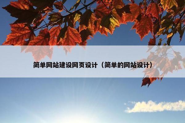简单网站建设网页设计（简单的网站设计）