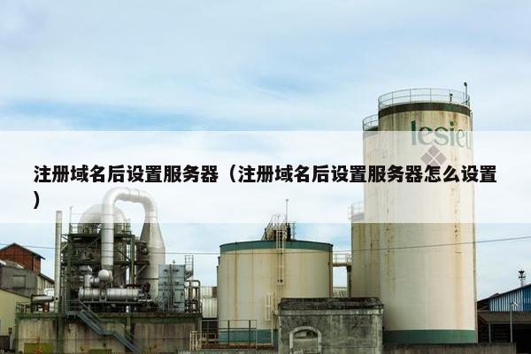 注册域名后设置服务器（注册域名后设置服务器怎么设置）