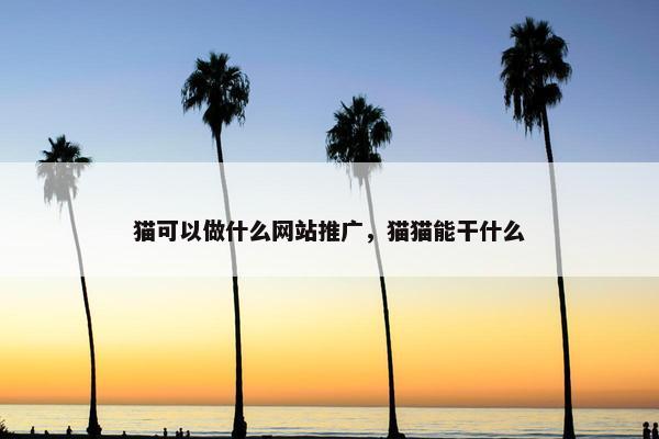 猫可以做什么网站推广，猫猫能干什么