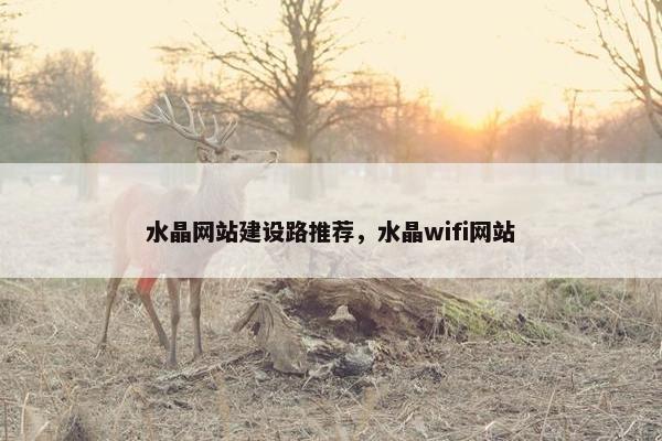 水晶网站建设路推荐，水晶wifi网站