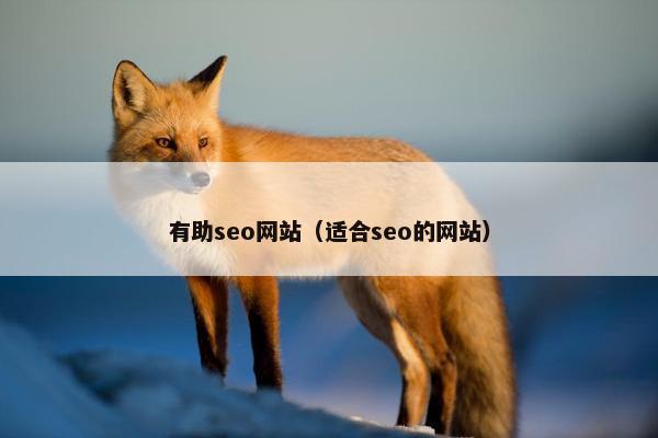 有助seo网站（适合seo的网站）