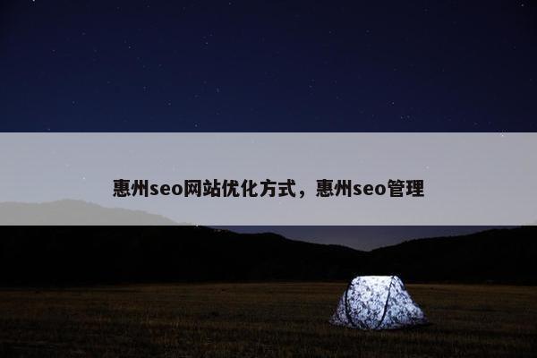 惠州seo网站优化方式，惠州seo管理