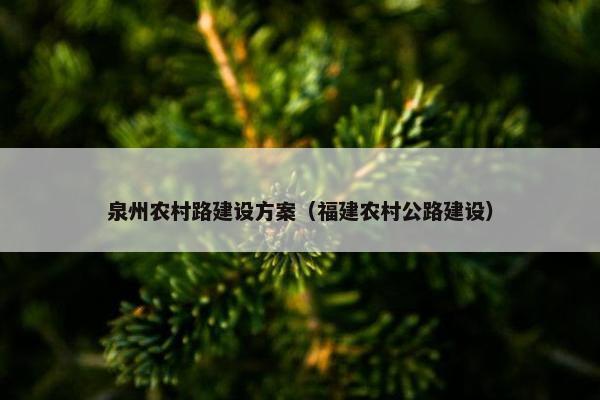 泉州农村路建设方案（福建农村公路建设）