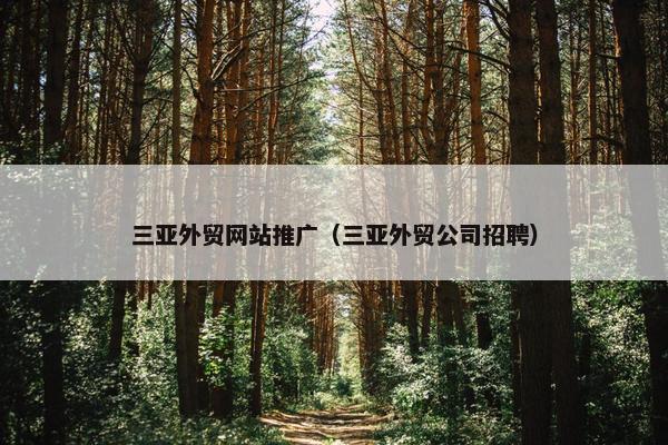 三亚外贸网站推广（三亚外贸公司招聘）