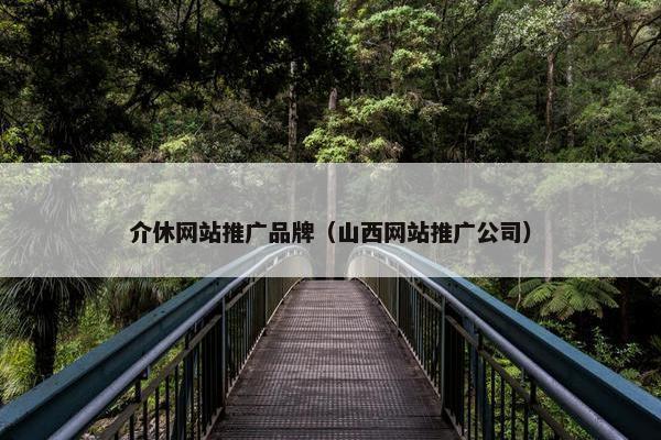 介休网站推广品牌（山西网站推广公司）