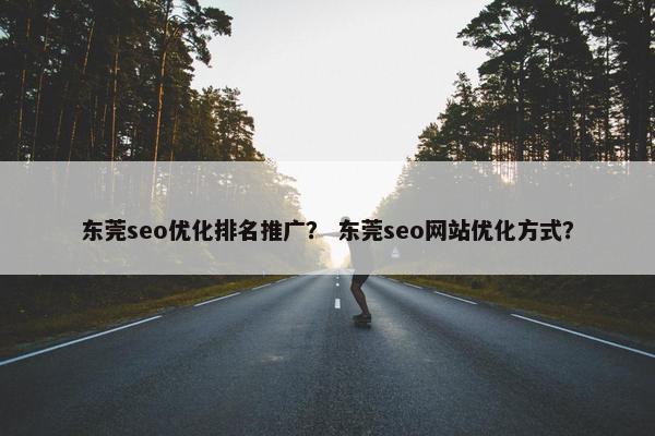 东莞seo优化排名推广？ 东莞seo网站优化方式？