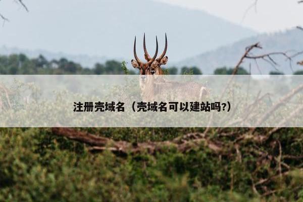 注册壳域名（壳域名可以建站吗?）