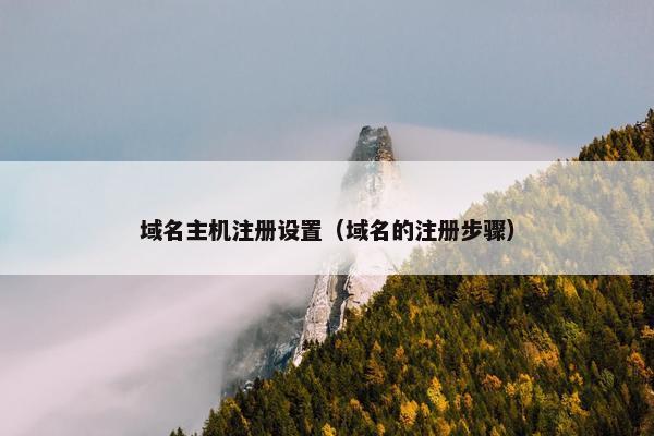 域名主机注册设置（域名的注册步骤）