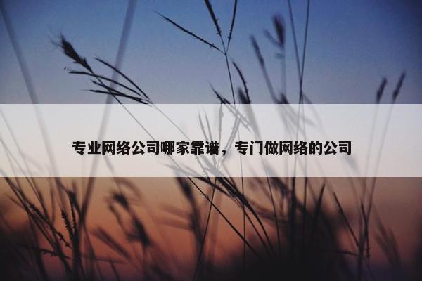 专业网络公司哪家靠谱，专门做网络的公司