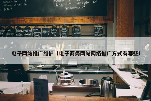 电子网站推广维护（电子商务网站网络推广方式有哪些）