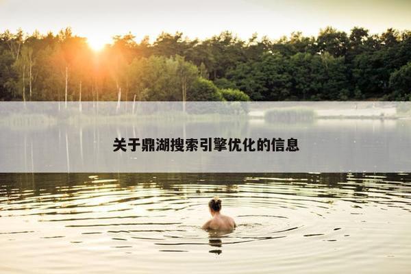 关于鼎湖搜索引擎优化的信息