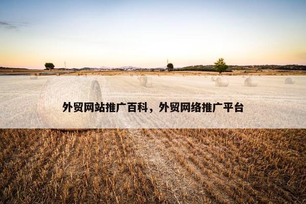 外贸网站推广百科，外贸网络推广平台