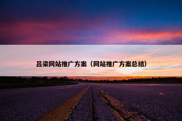 吕梁网站推广方案（网站推广方案总结）