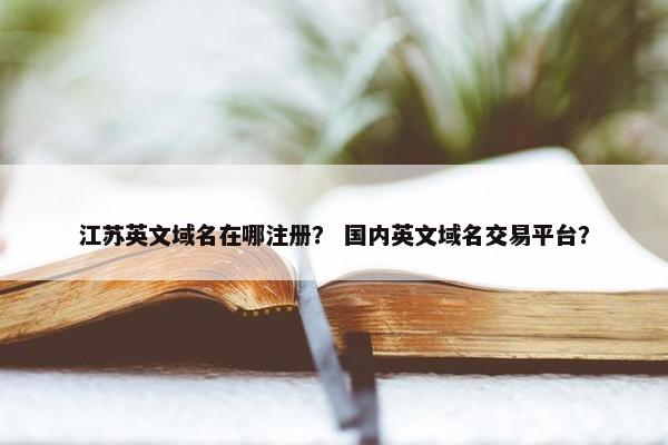 江苏英文域名在哪注册？ 国内英文域名交易平台？