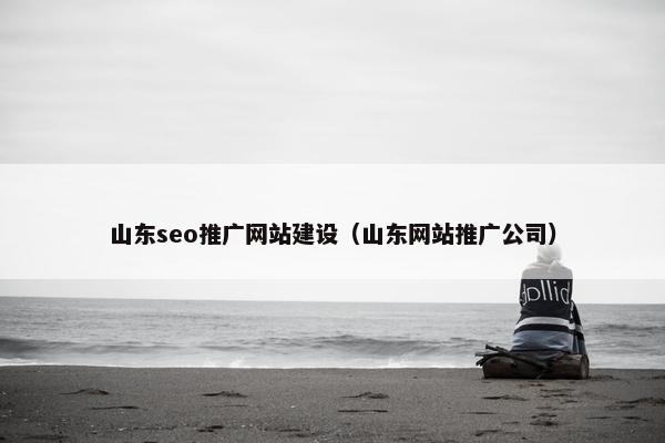 山东seo推广网站建设（山东网站推广公司）