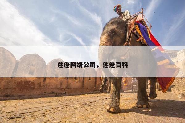 莲蓬网络公司，莲蓬百科