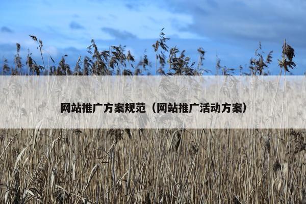 网站推广方案规范（网站推广活动方案）