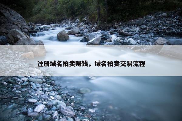 注册域名拍卖赚钱，域名拍卖交易流程