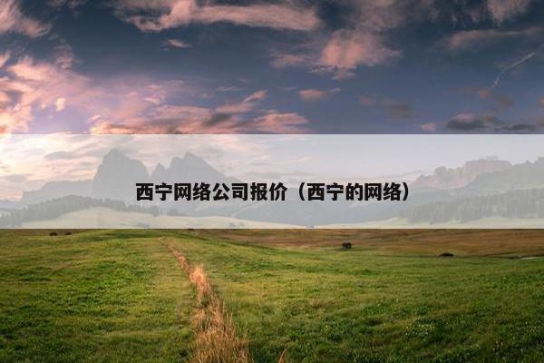西宁网络公司报价（西宁的网络）