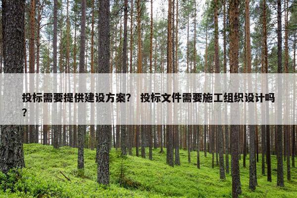 投标需要提供建设方案？ 投标文件需要施工组织设计吗？