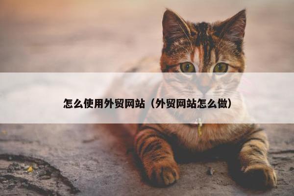 怎么使用外贸网站（外贸网站怎么做）