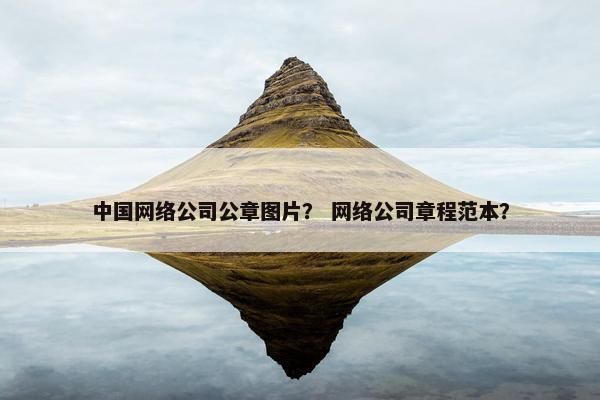 中国网络公司公章图片？ 网络公司章程范本？