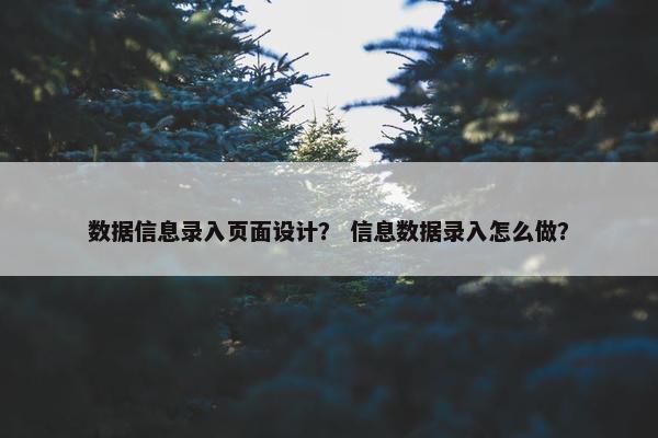 数据信息录入页面设计？ 信息数据录入怎么做？