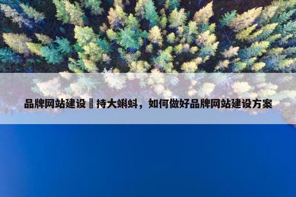 品牌网站建设堅持大蝌蚪，如何做好品牌网站建设方案