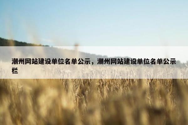 潮州网站建设单位名单公示，潮州网站建设单位名单公示栏