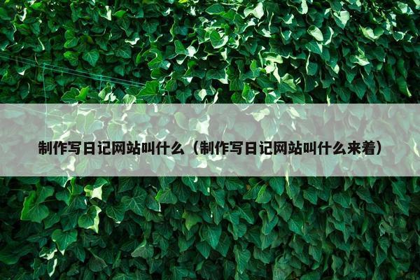 制作写日记网站叫什么（制作写日记网站叫什么来着）
