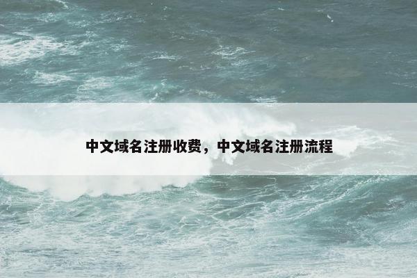 中文域名注册收费，中文域名注册流程
